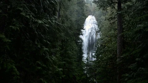 Proxy waterfall viewed through forest on a rainy spring day Stock Footage 76892970