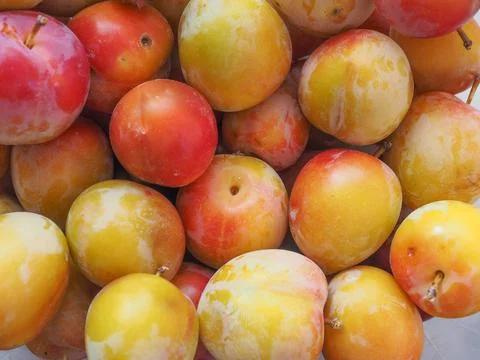 Prune fruits background Stock Photos