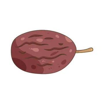 Prune Stock Illustration