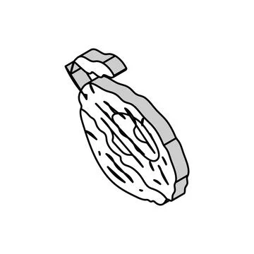 Prune plum dry isometric icon vector illustration Stock Illustration