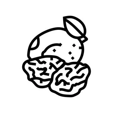 Prune plum line icon vector illustration Stock Illustration