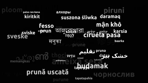 Prune Translated in 57 Worldwide Languages Endless Looping 3d Zooming Wordclo 스톡 동영상 145215587