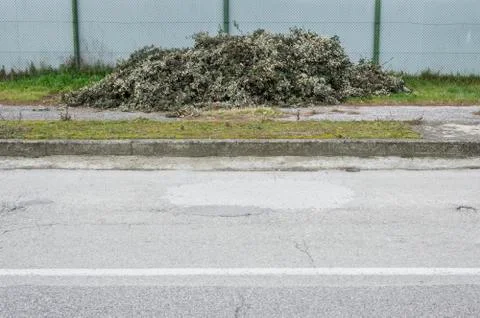 Pruned piled leaves Stock Photos