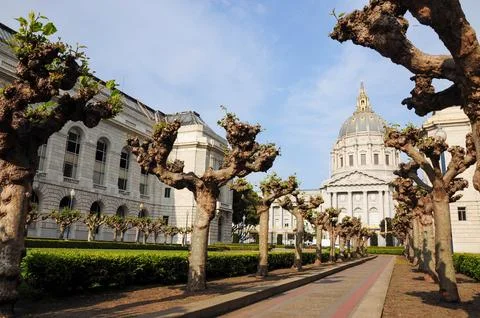 Pruned tree-lined path to iconic domed building under a clear blue sky Foto stock