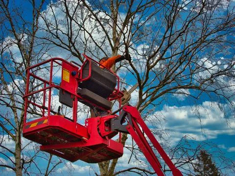 Pruner on cherry picker cutting tree in the air Stock Photos
