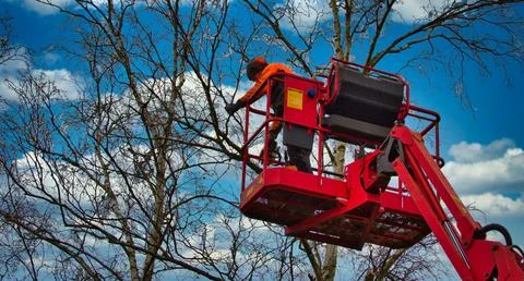 Pruner on cherry picker cutting tree in the air Stock Photos