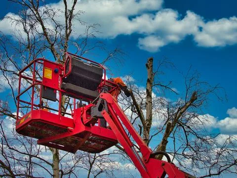 Pruner on cherry picker cutting tree in the air Stock Photos