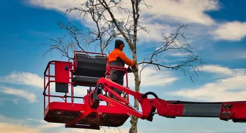 Pruner on cherry picker cutting tree in the air Stock Photos