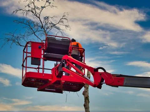 Pruner on cherry picker cutting tree in the air Foto stock