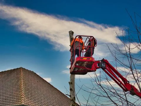 Pruner on cherry picker cutting tree in the air Stock Photos