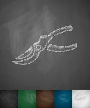 Pruner icon Illustrazione stock