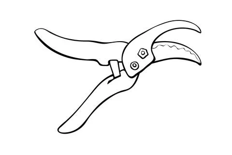 Pruner, pruning shears. Hand drawn outline vector illustration in doodle styl Stock Illustration