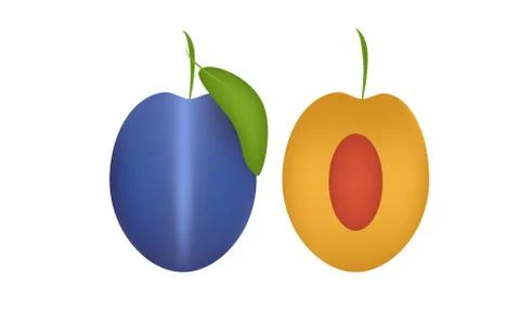Prunes and Prunes cut vector illustration on White Background Stock Illustration