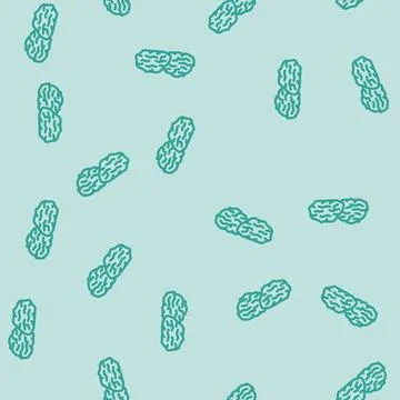 Prunes dried fruit line vector seamless pattern Stock Illustration