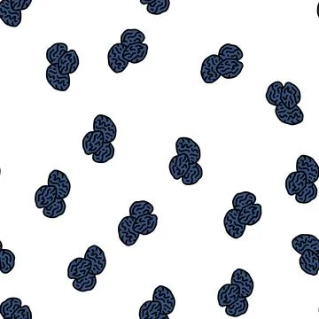 Prunes dried fruit vector seamless pattern 스톡 일러스트