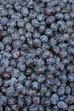 Prunes fruit background Stock-Fotos