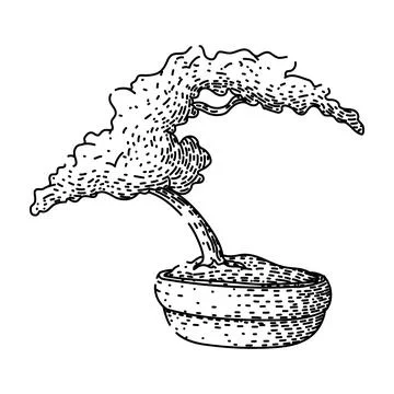 Pruning bonzai tree sketch hand drawn black Stock Illustration