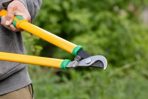 Pruning branches with a lopper.A man prunes branches in the garden.Spring wor Stock Photos