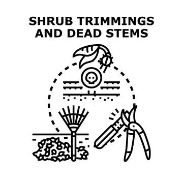 Pruning dead stems and collecting garden trimmings Stock Illustration