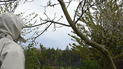 Pruning 스톡 동영상 106765852