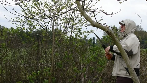 Pruning Stock Footage 106765898