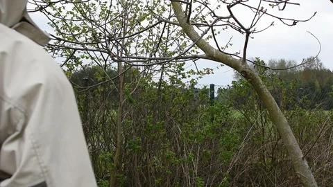 Pruning Stock Footage 106765972