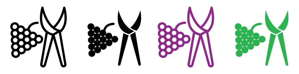 Pruning grape icon representing vineyard management and agricultural practi.. Illustrazione stock