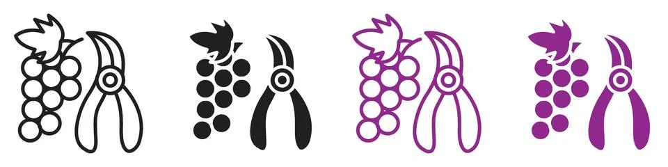 Pruning grape icon representing vineyard management and agricultural practi.. Illustrazione stock