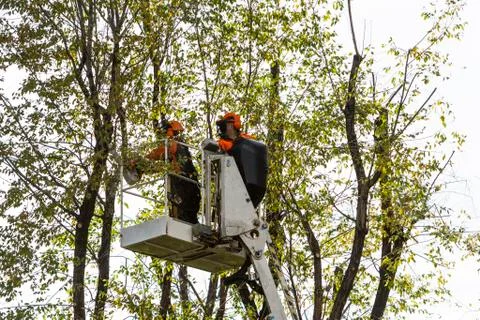 Pruning Stock Photos
