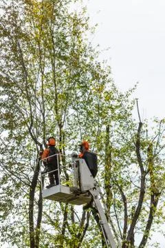 Pruning Stock Photos