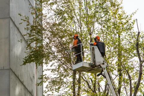Pruning Stock Photos