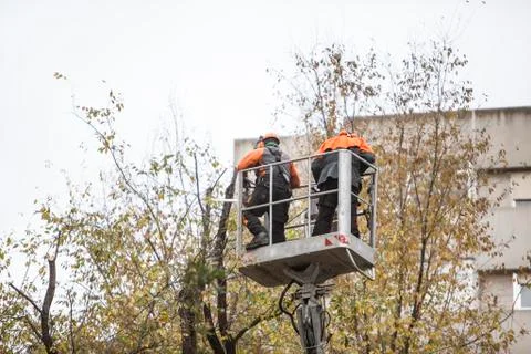 Pruning Stock Photos