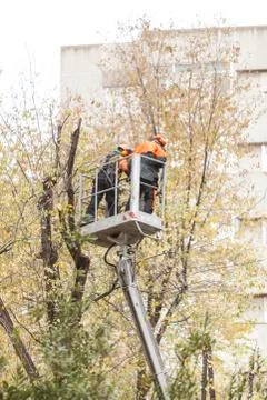 Pruning Stock Photos