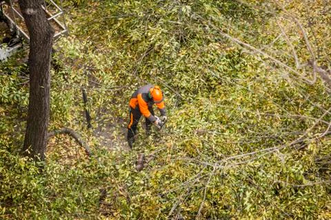 Pruning Stock Photos