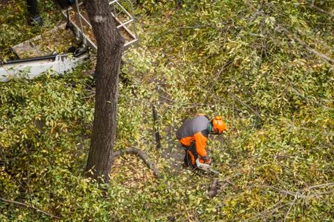 Pruning Stock Photos