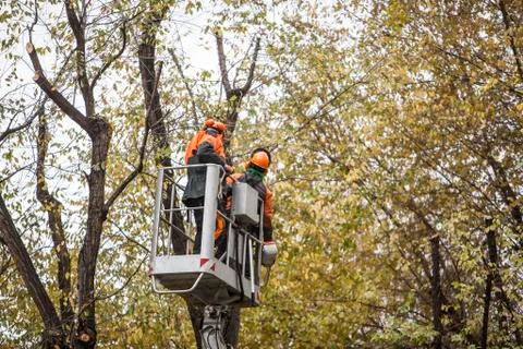 Pruning Stock Photos