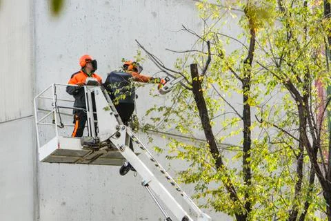 Pruning Stock Photos