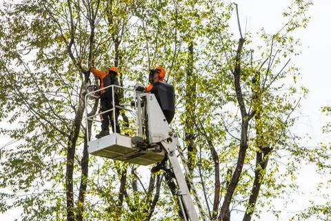 Pruning Stock Photos