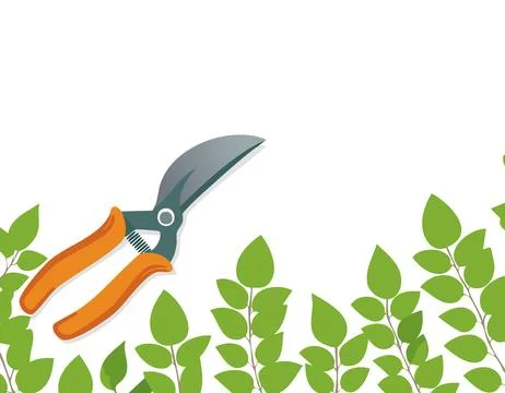Pruning plant with pruning shears on white background, copy space, home gar.. Stock Illustration