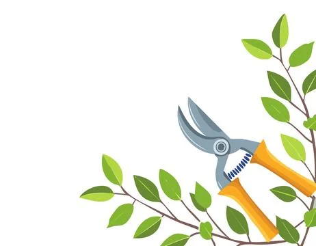 Pruning plant with pruning shears on white background, copy space, home gar.. Stock Illustration