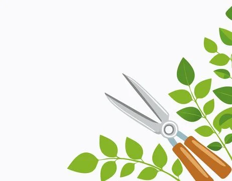 Pruning plant with pruning shears on white background, copy space, home gar.. Stock Illustration