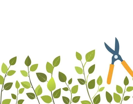 Pruning plant with pruning shears on white background, copy space, home gar.. Stock Illustration
