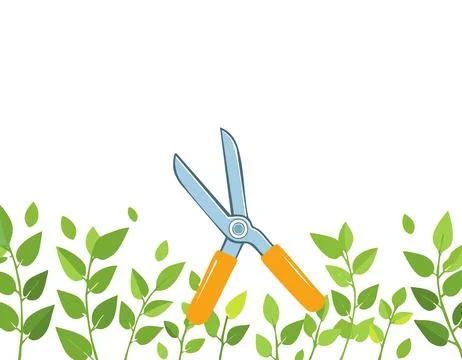 Pruning plant with pruning shears on white background, copy space, home gar.. Stock Illustration