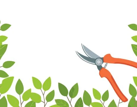 Pruning plant with pruning shears on white background, copy space, home gar.. Stock Illustration