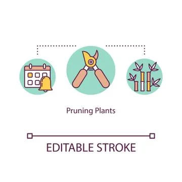 Pruning plants concept icon. Cutting overgrown stems. Removing dead twigs Stock Illustration