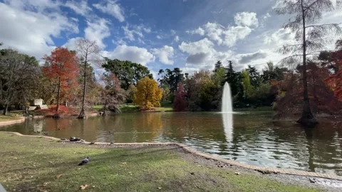 Pruning process in agriculture Video stock 223405096