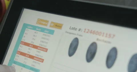 Pruning process in agriculture Video stock 229738554