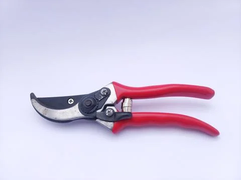 Pruning scissors Stock Photos