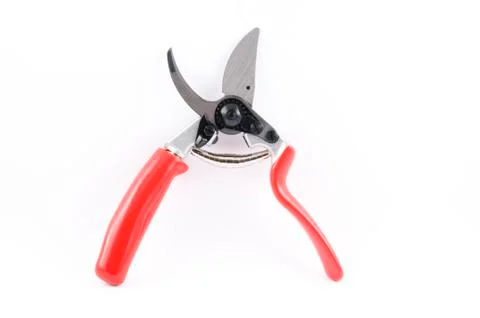 Pruning shear Stock Photos