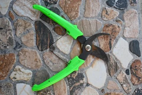 Pruning shears for balcony gardening Photos